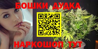 индика Коммунар