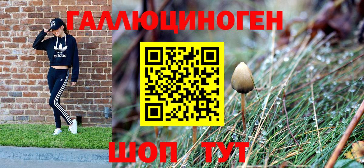 Галлюциногенные грибы Magic Shrooms  Вход с VPN  Котельники 