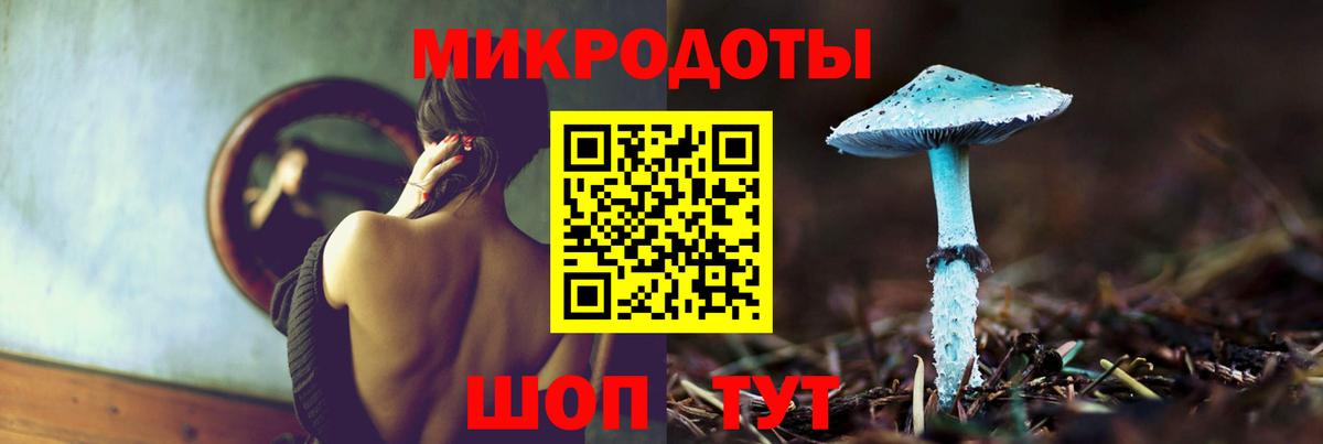 Псилоцибиновые грибы Psilocybe Котельники